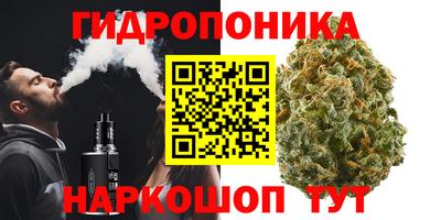 спиды Заволжье