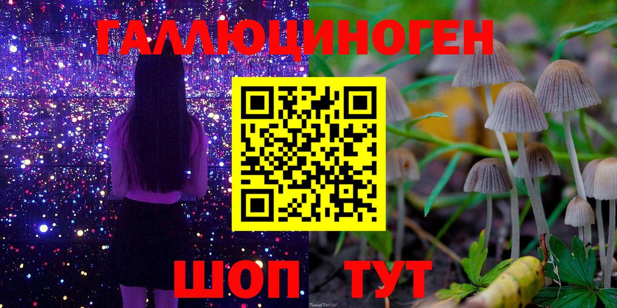 где купить наркоту  Галлюциногенные грибы Psilocybine cubensis  Вход с VPN  Екатеринбург 